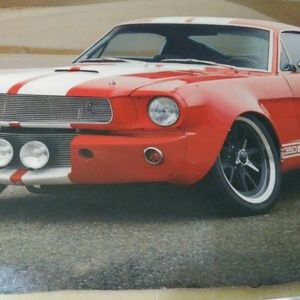 Meet your Posher, Shelby